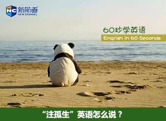 “注孤生”英语怎么说？