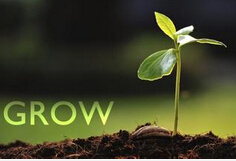 雅思每日名言一则