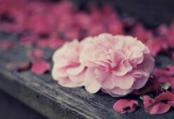 2015年12月19日雅思考试城市通知