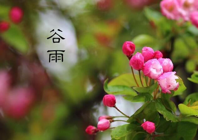 谷雨