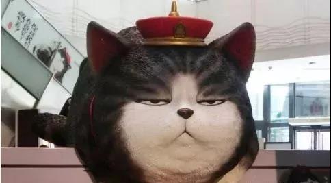 雅思官方解答：那些关于留学申请的困惑