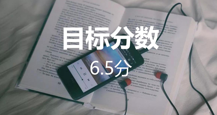 雅思6.5分—备考攻略汇总