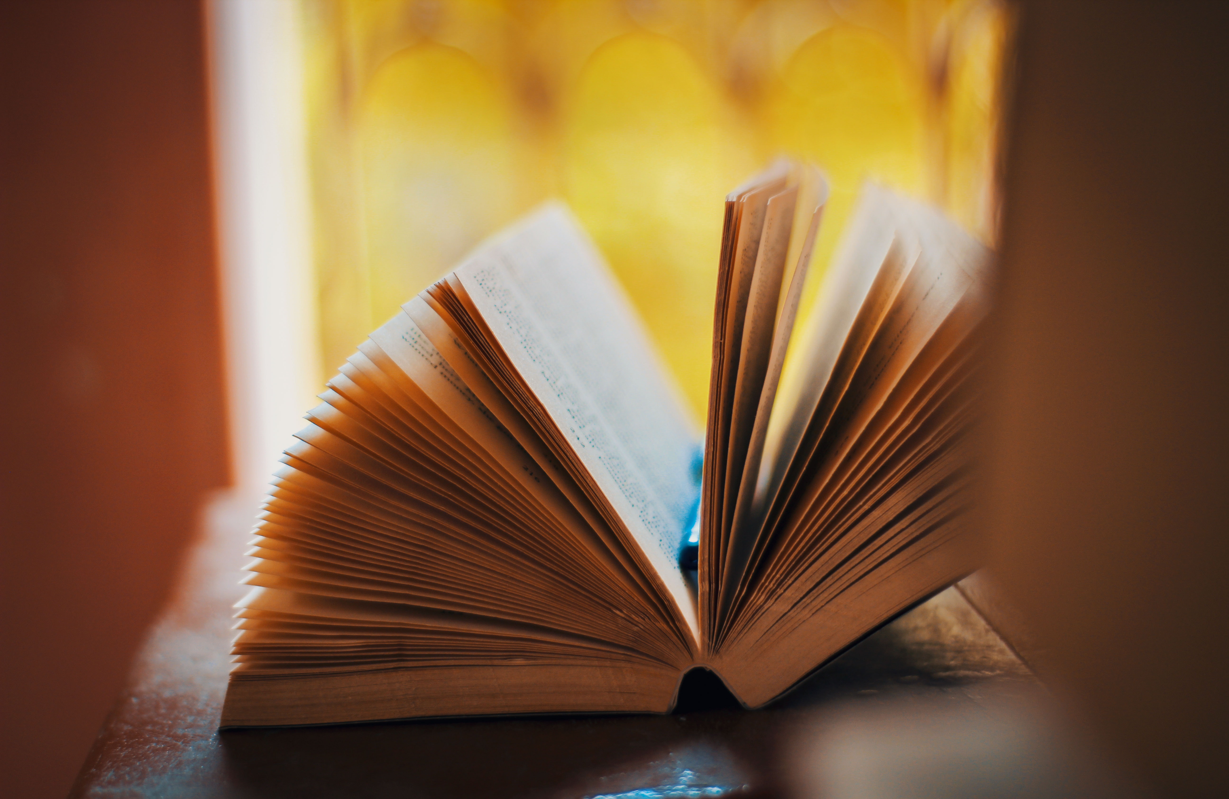 book-education-knowledge-2099691 (1).jpg book-education-knowledge-2099691 (1).jpg
