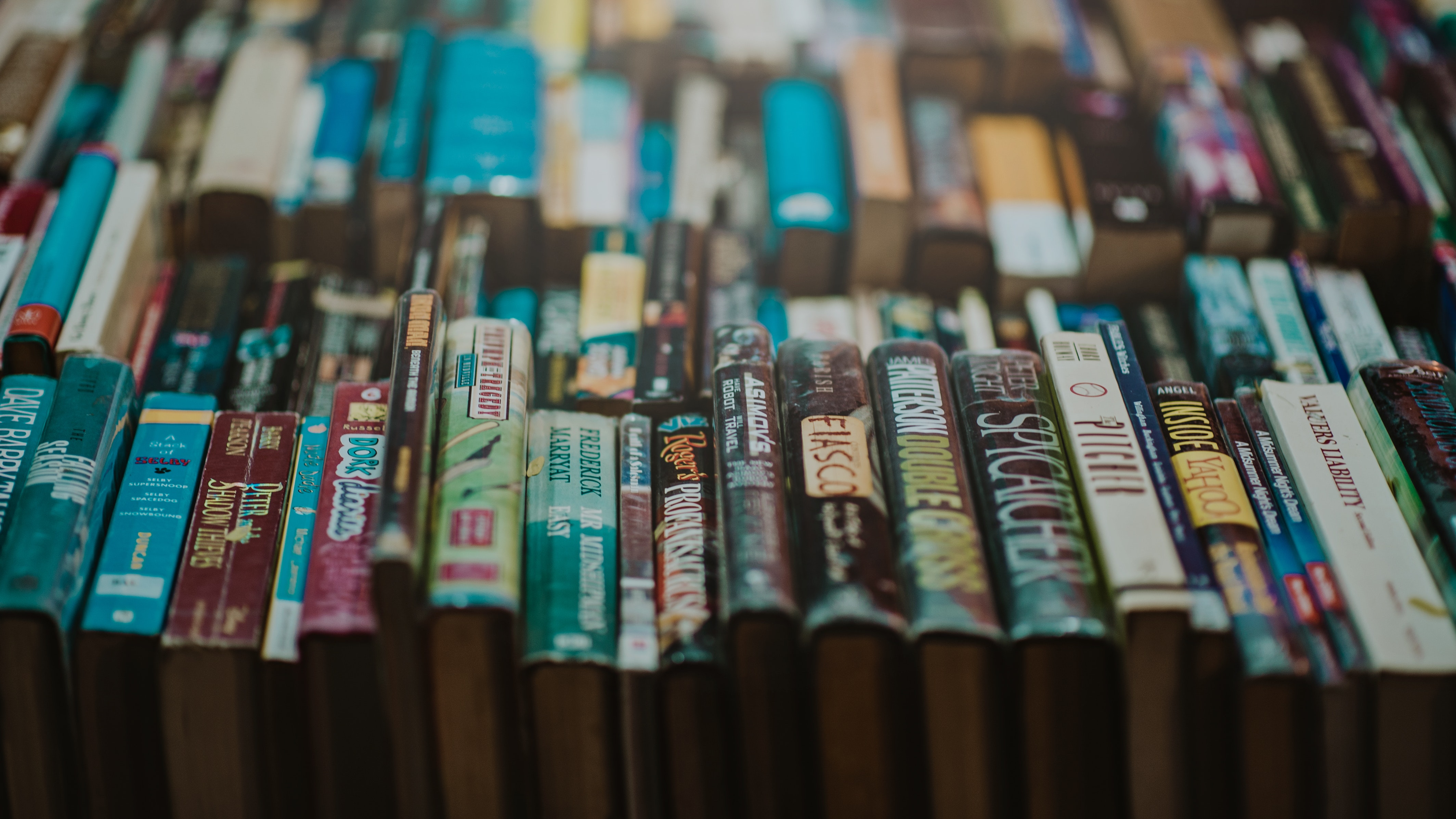 bookcase-books-bookstore-775998 (1).jpg bookcase-books-bookstore-775998 (1).jpg