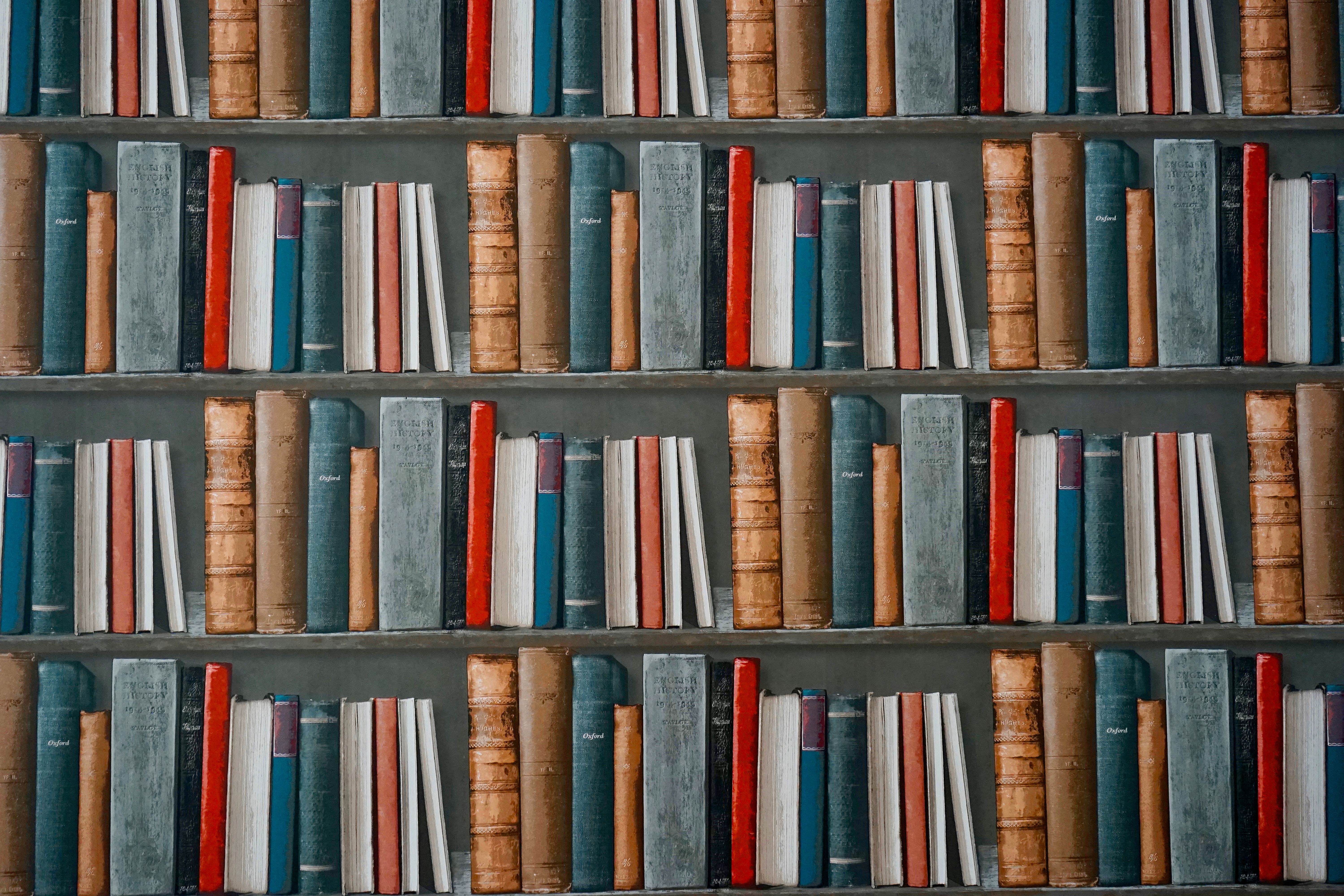 bookcase-books-bookshelf-1166657 (1).jpg bookcase-books-bookshelf-1166657 (1).jpg