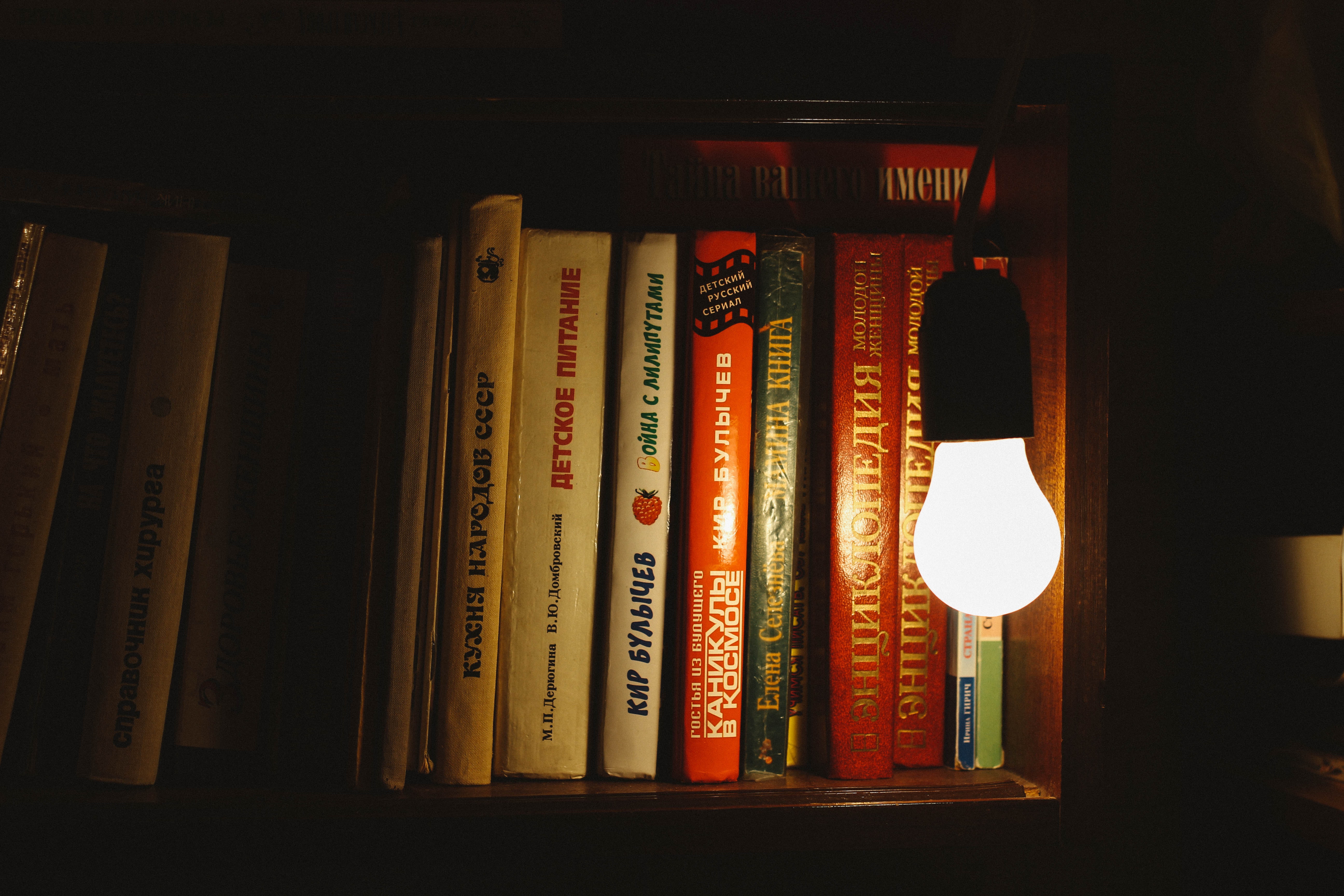 book-bindings-book-series-bookcase-2249063.jpg book-bindings-book-series-bookcase-2249063.jpg