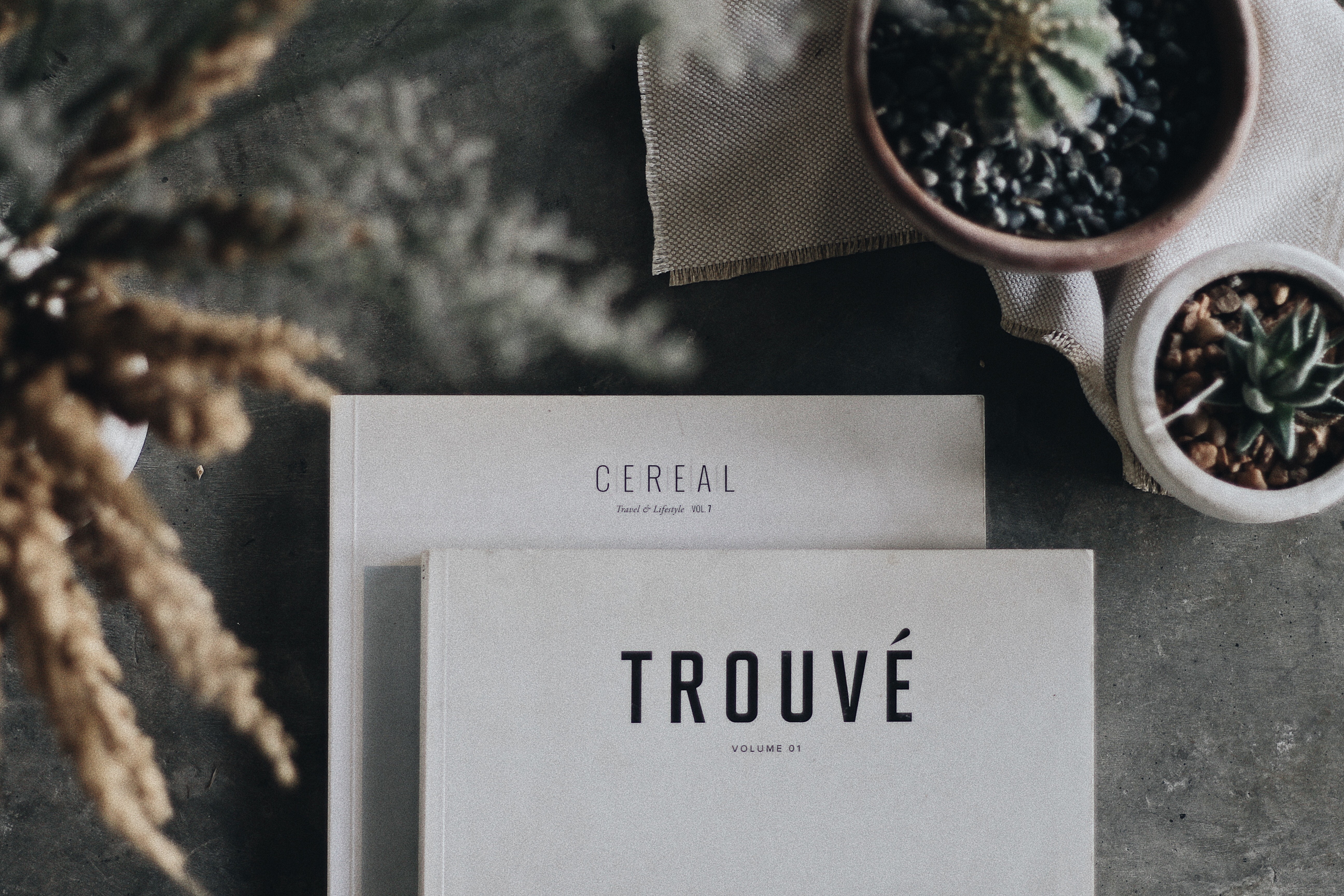 background-books-cactus-2623828.jpg background-books-cactus-2623828.jpg