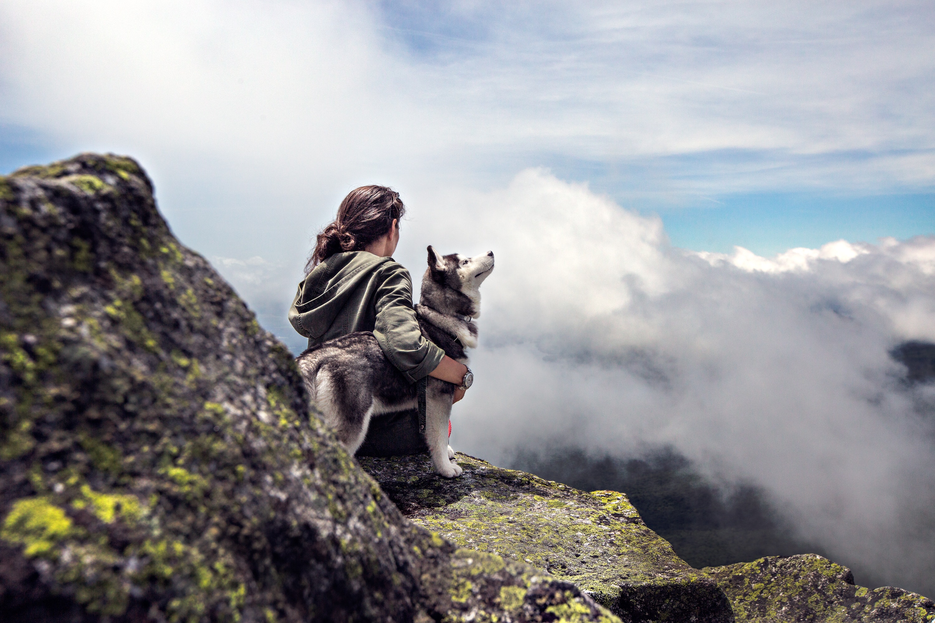 adventure-clouds-dog-36372.jpg adventure-clouds-dog-36372.jpg