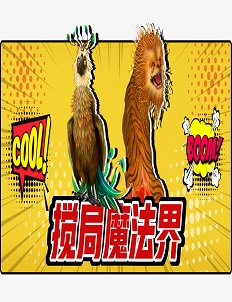 英语词汇大揭秘 原来“魔法”用英语可以这么表达