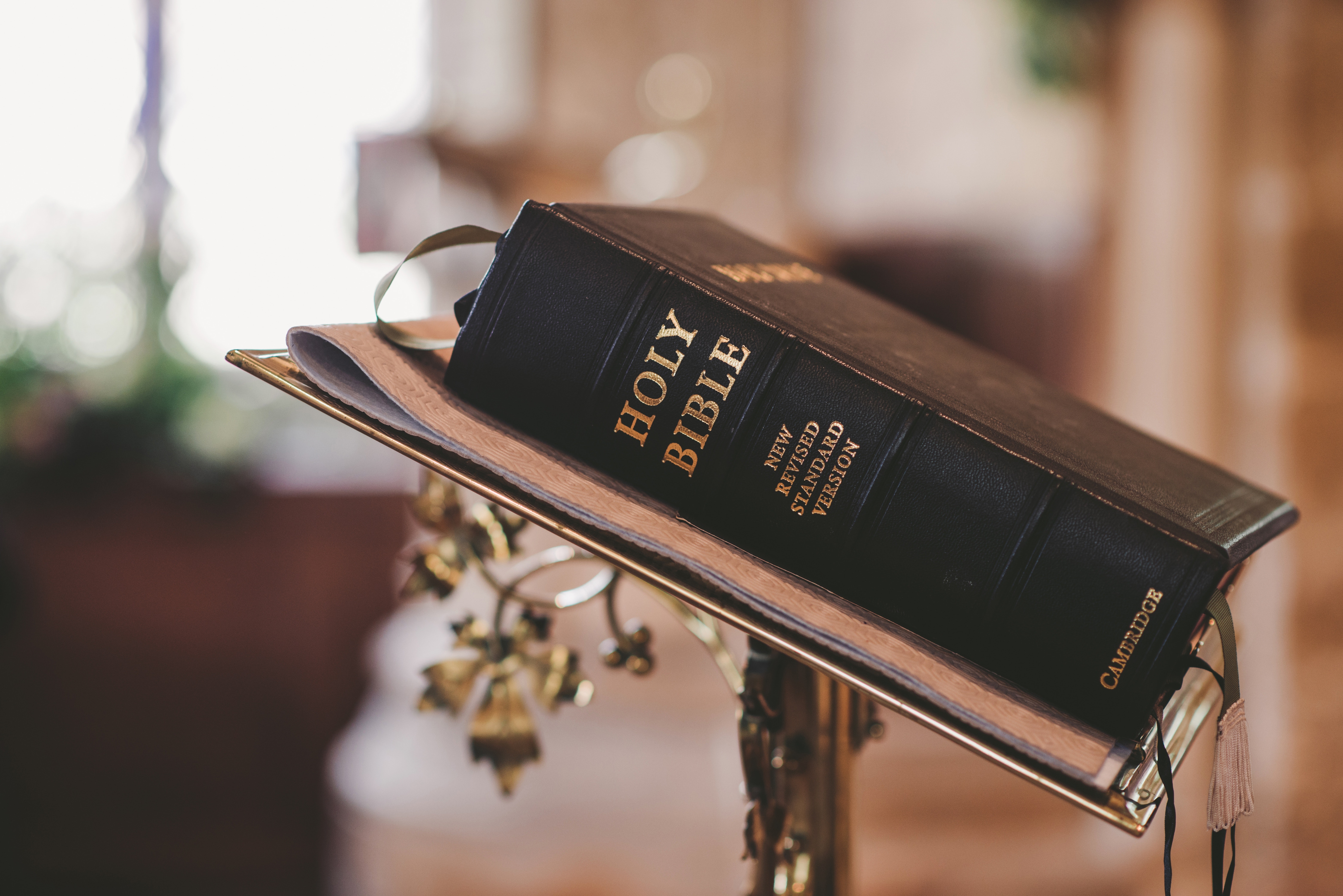 bible-blur-christ-372326 (1).jpg bible-blur-christ-372326 (1).jpg