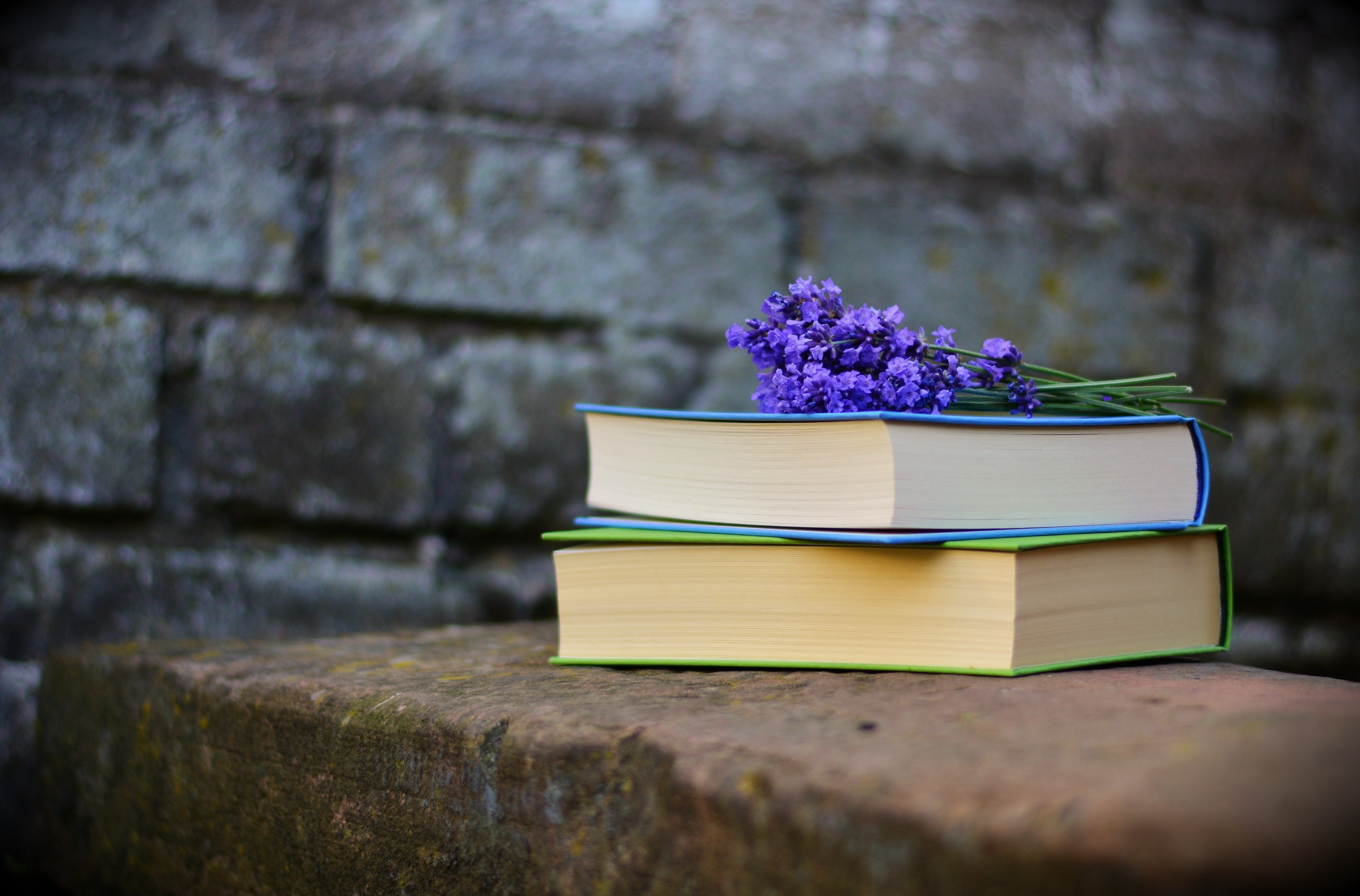 bench-blur-books-459791.jpg bench-blur-books-459791.jpg