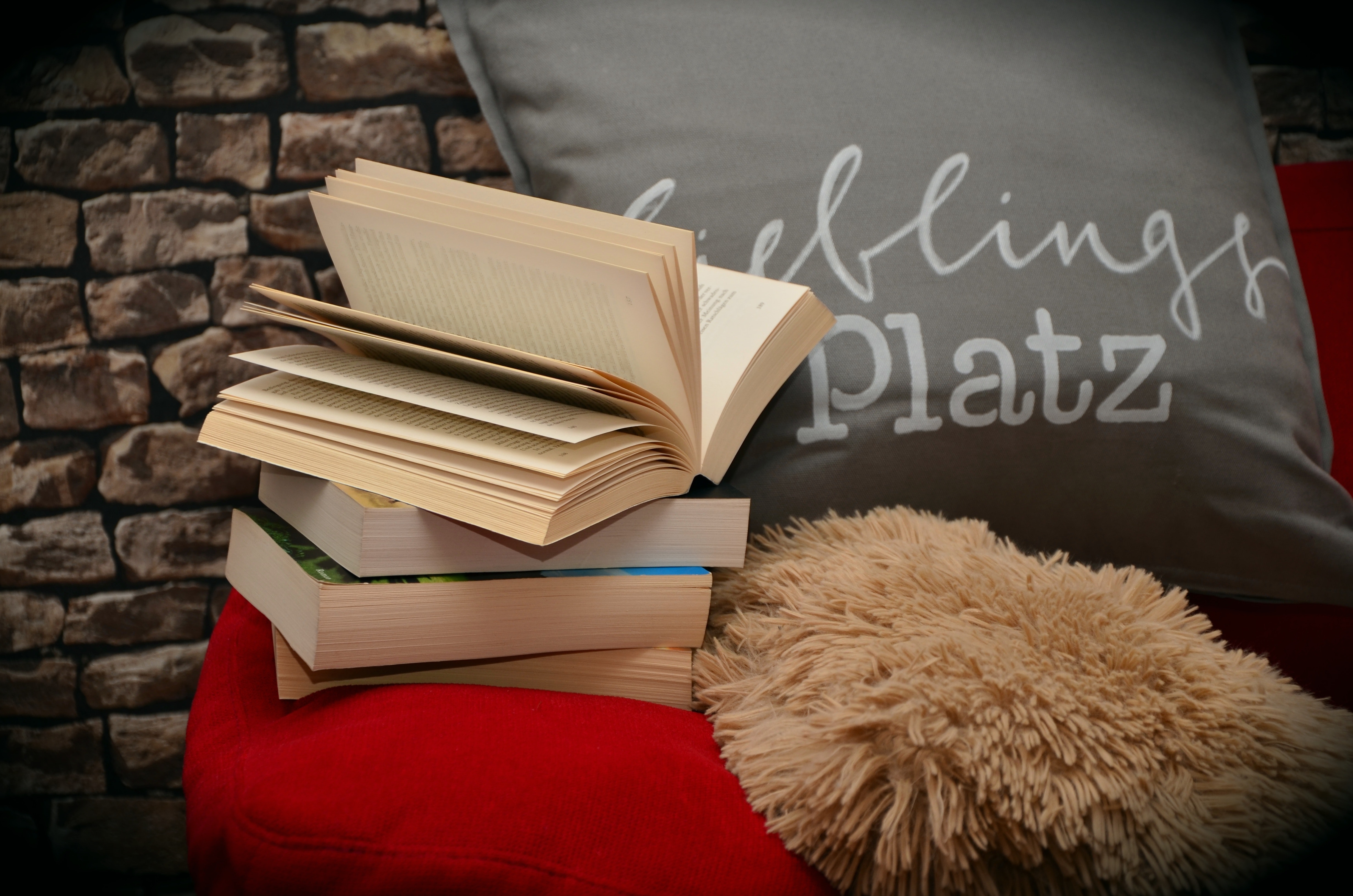 books-brick-wall-browse-261784.jpg books-brick-wall-browse-261784.jpg