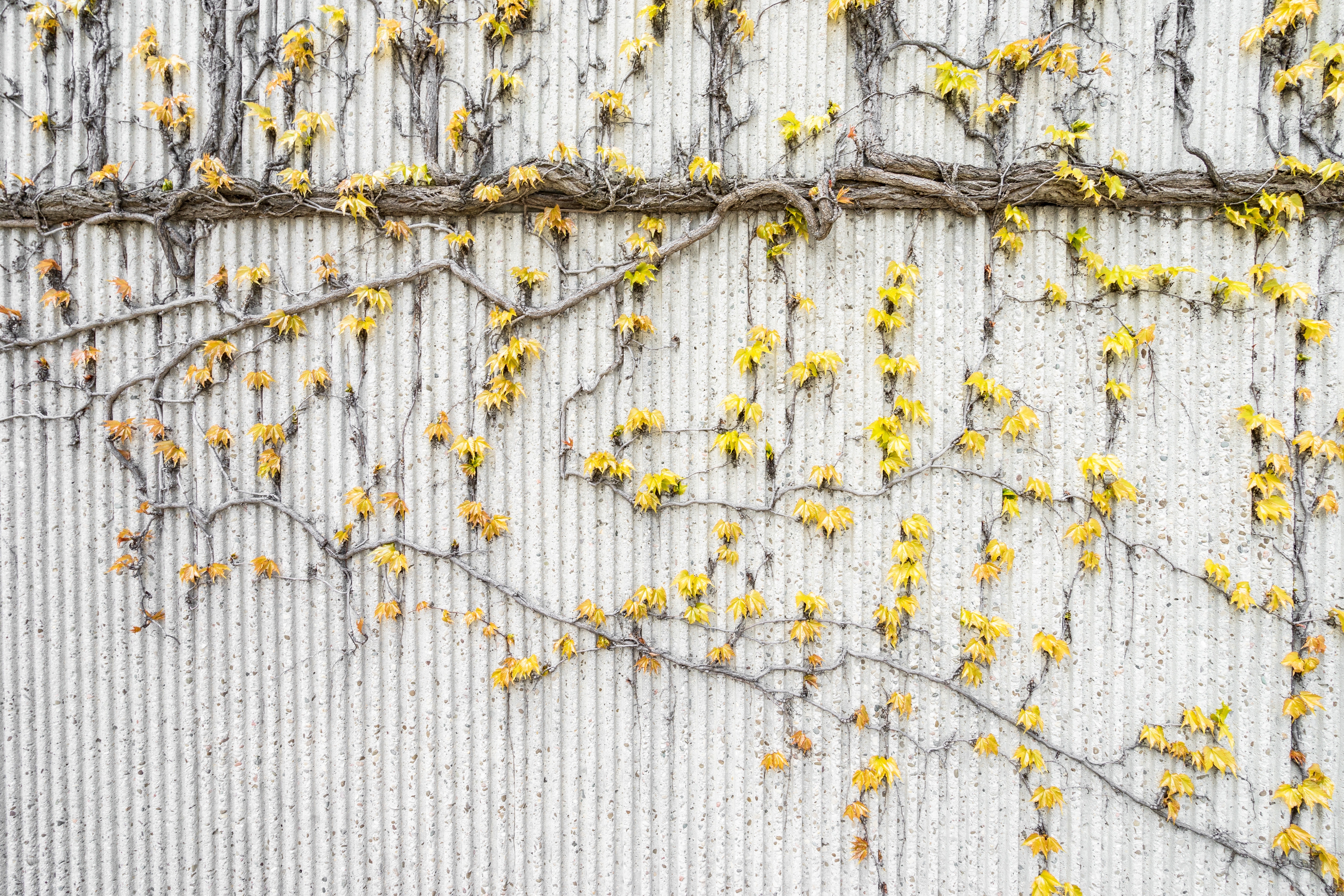 art-background-color-1029609.jpg art-background-color-1029609.jpg