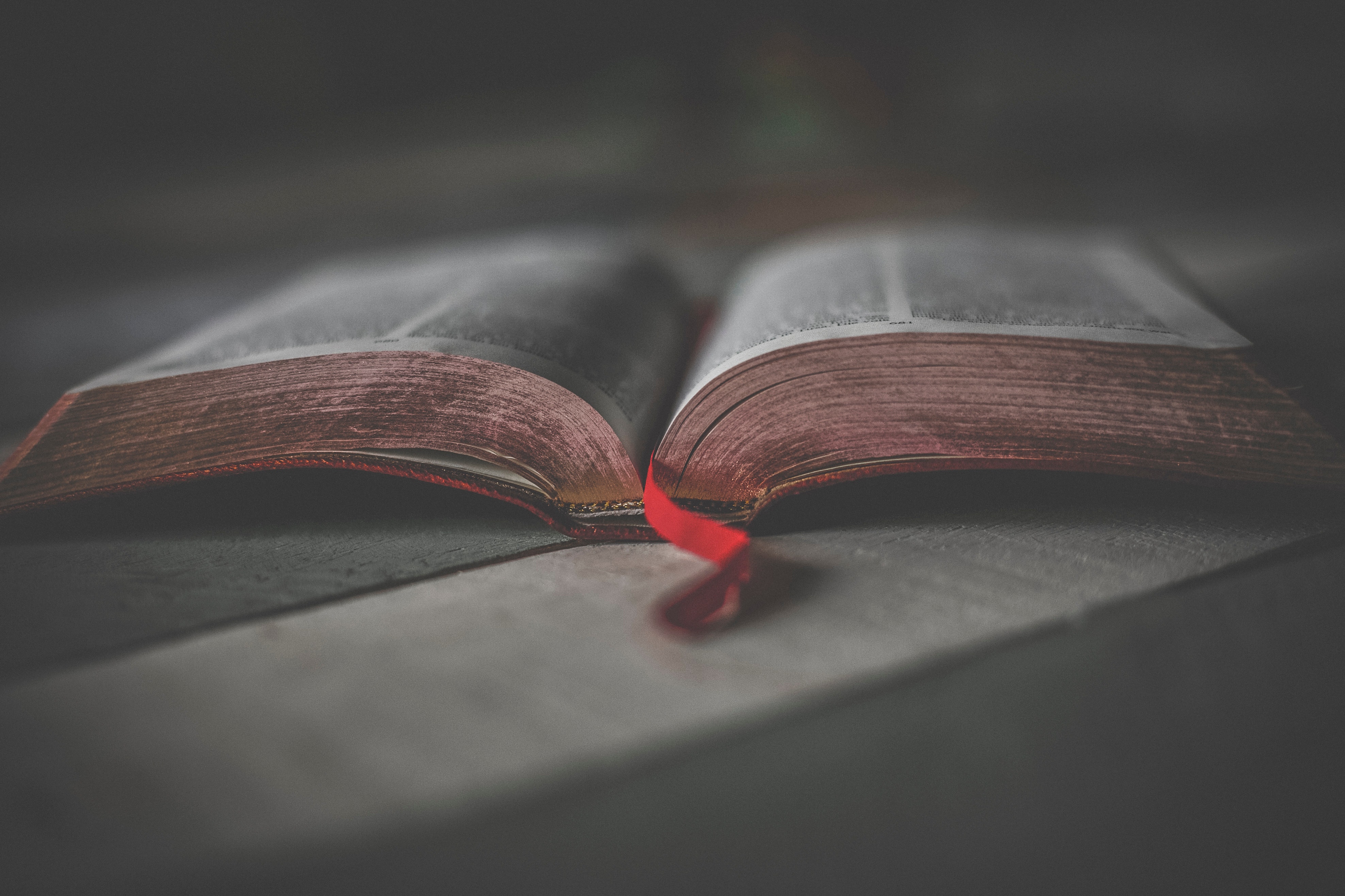 bible-biblia-book-bindings-1112048.jpg bible-biblia-book-bindings-1112048.jpg