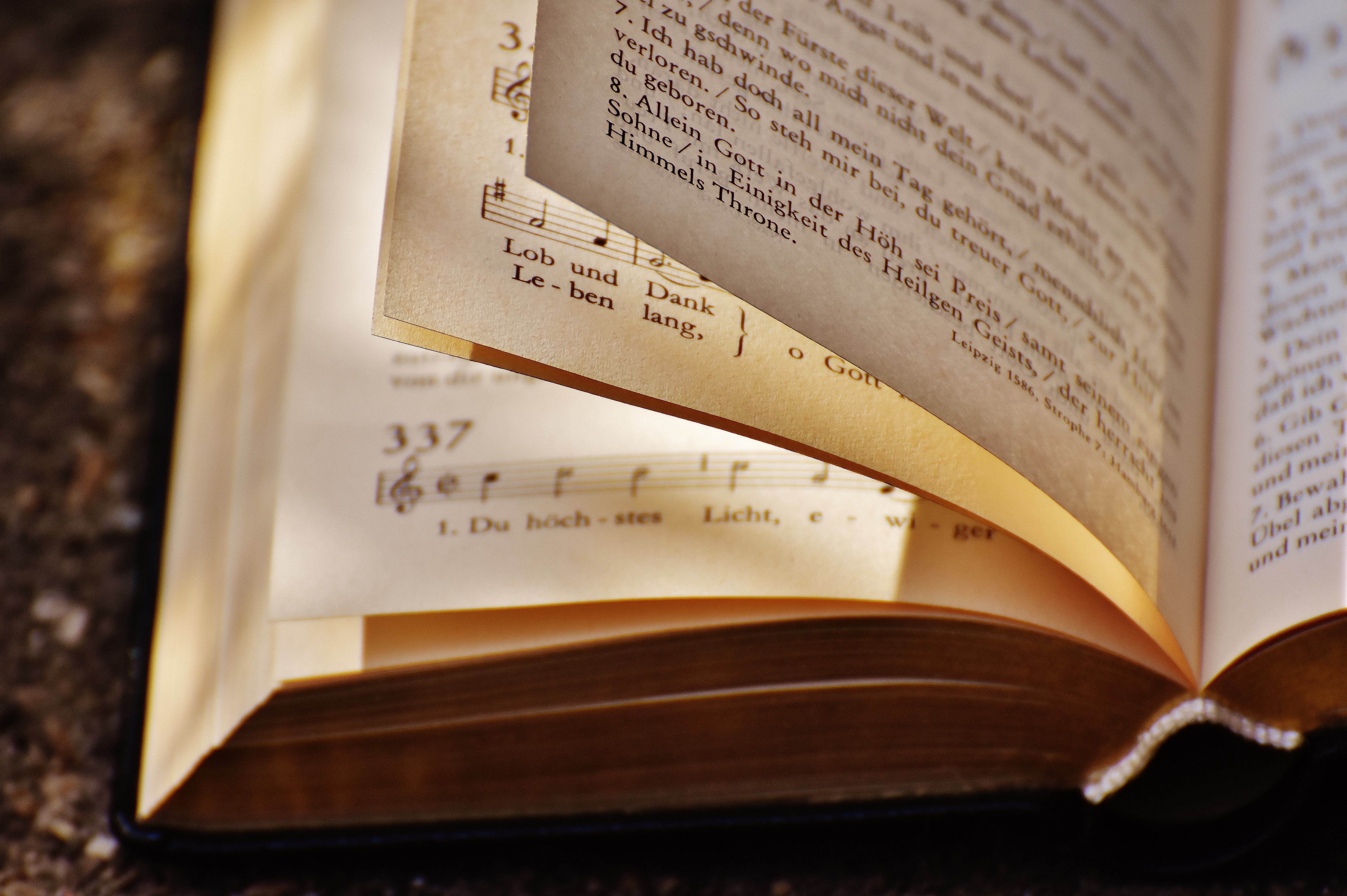 book-pages-education-information-208193.jpg book-pages-education-information-208193.jpg