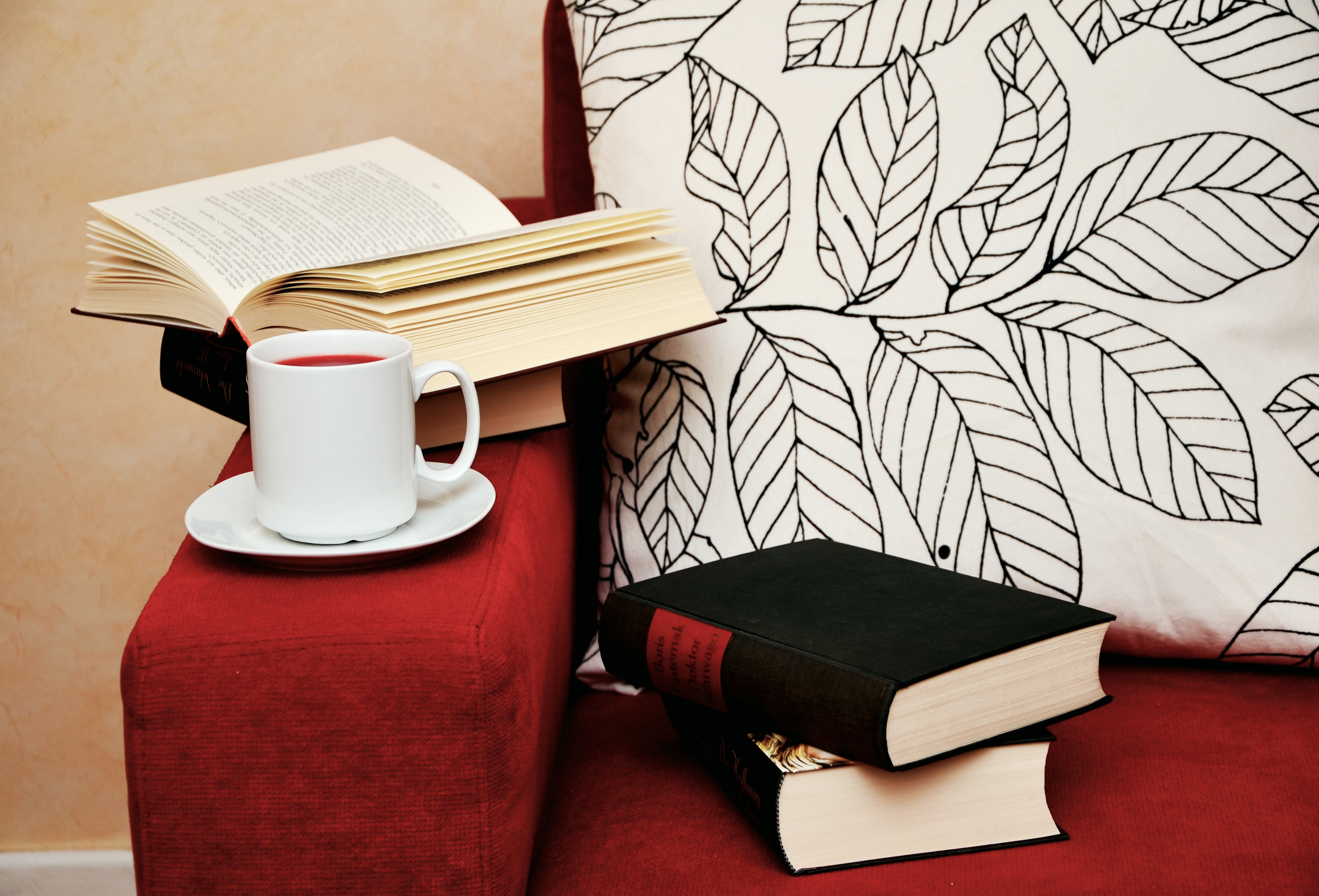 armchair-books-browse-261969 (1).jpg