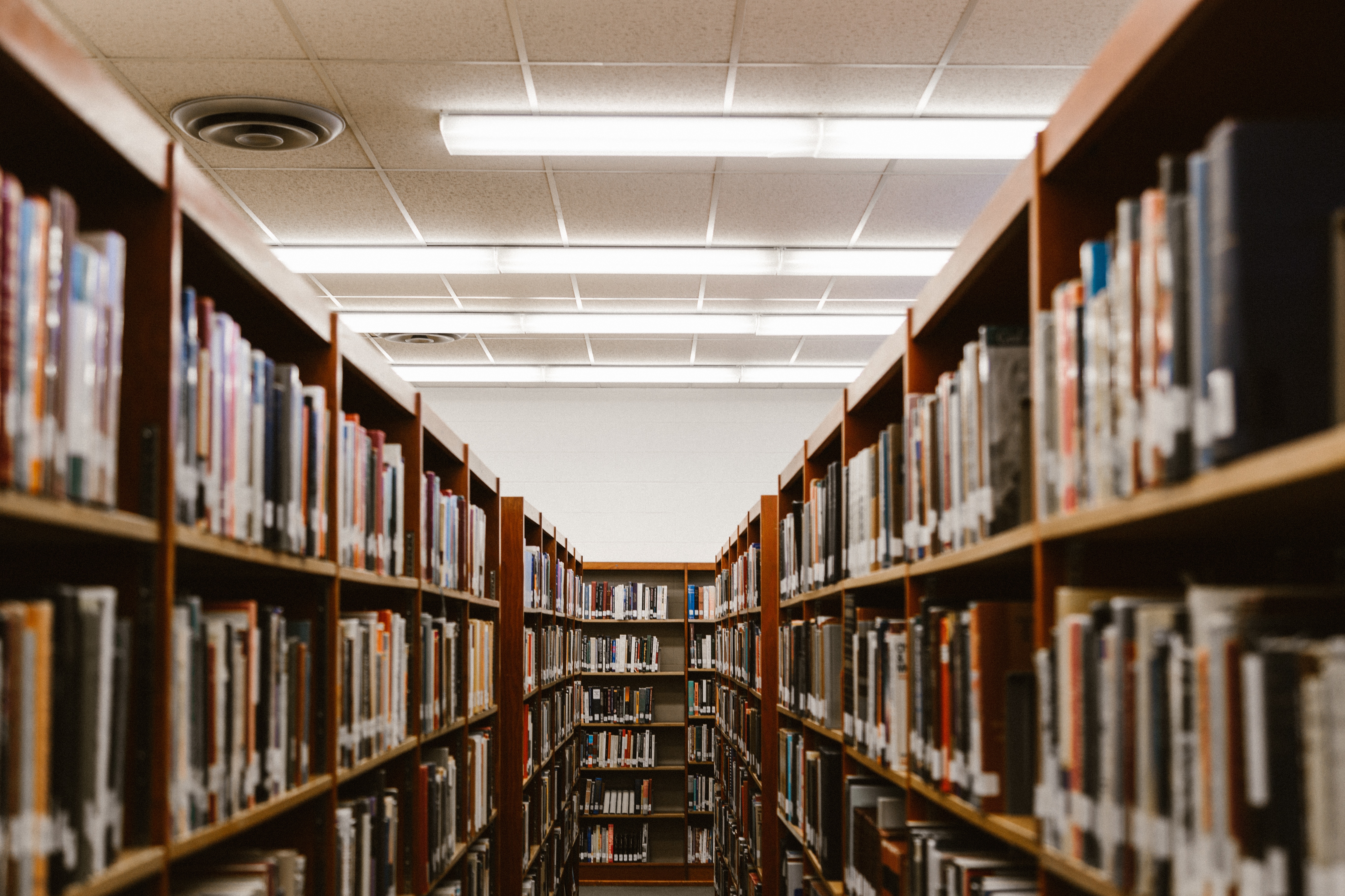 priscilla-du-preez-293218-unsplash.jpg priscilla-du-preez-293218-unsplash.jpg