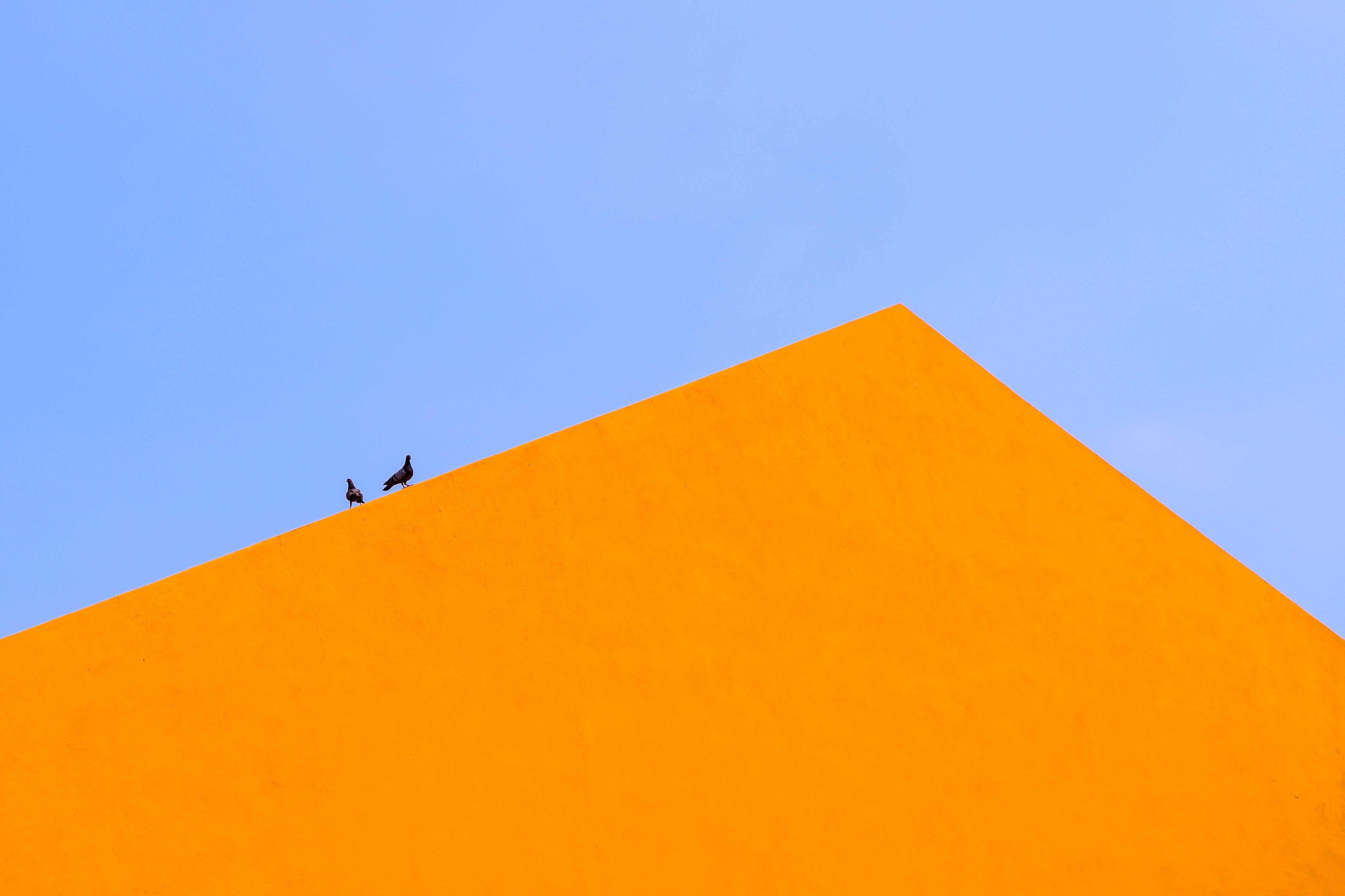 如何快速提升我们的英语水平？