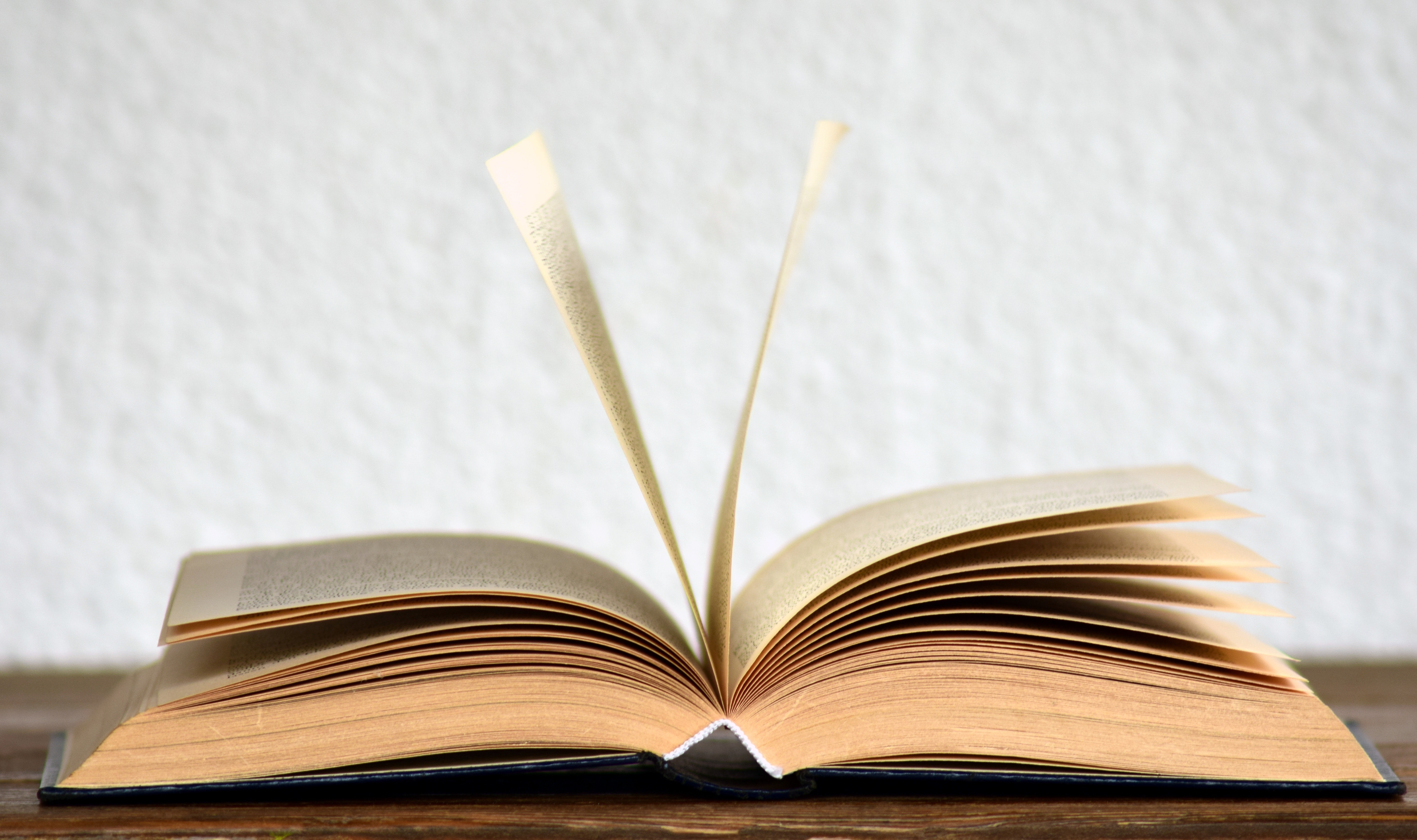 book-pages-bookcase-browse-415071.jpg book-pages-bookcase-browse-415071.jpg