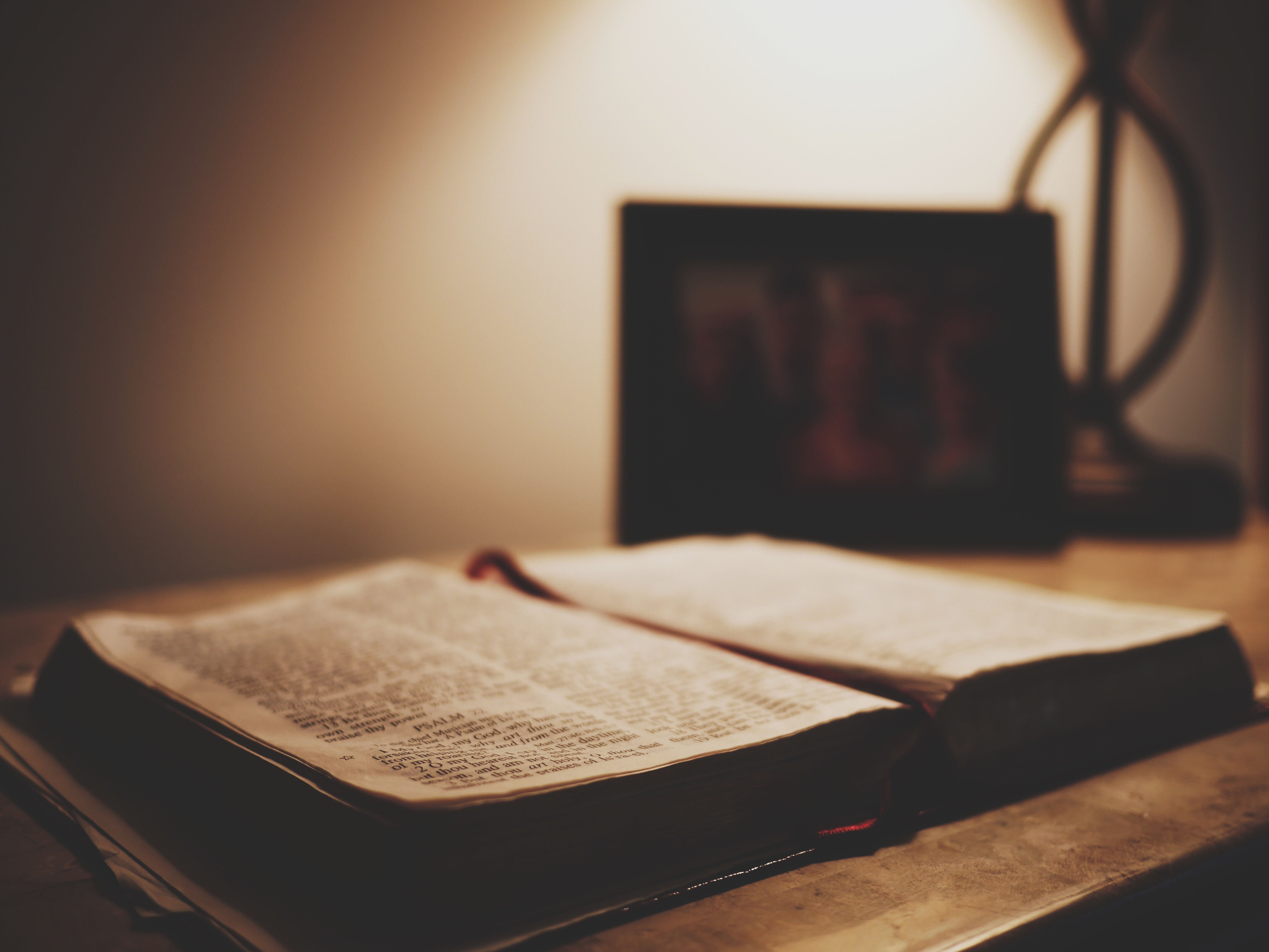 aaron-burden-H8s0PF2rcQs-unsplash_看图王.jpg aaron-burden-H8s0PF2rcQs-unsplash_看图王.jpg