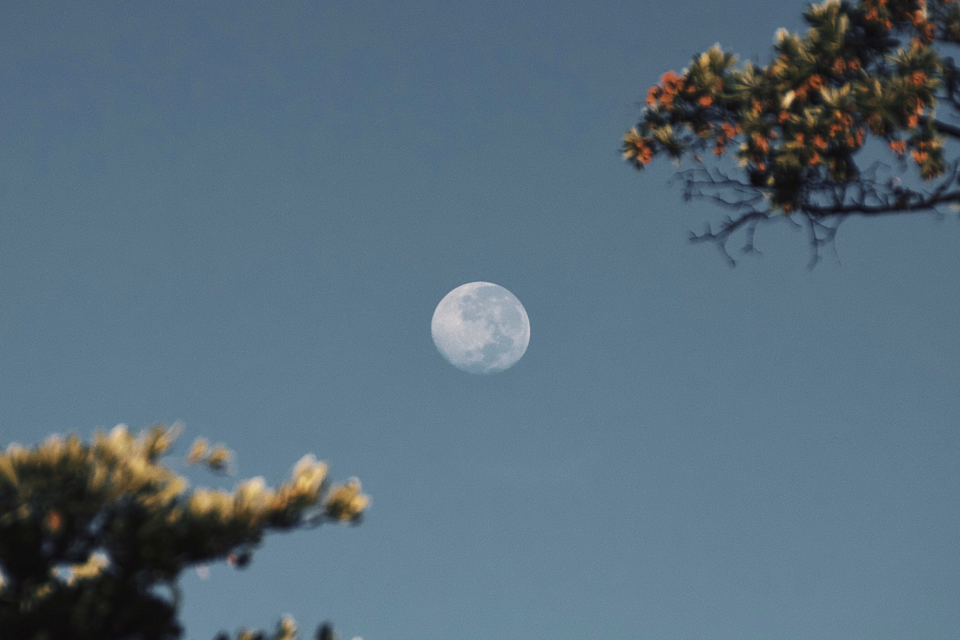 moon-in-the-sky-3284294_看图王.jpg