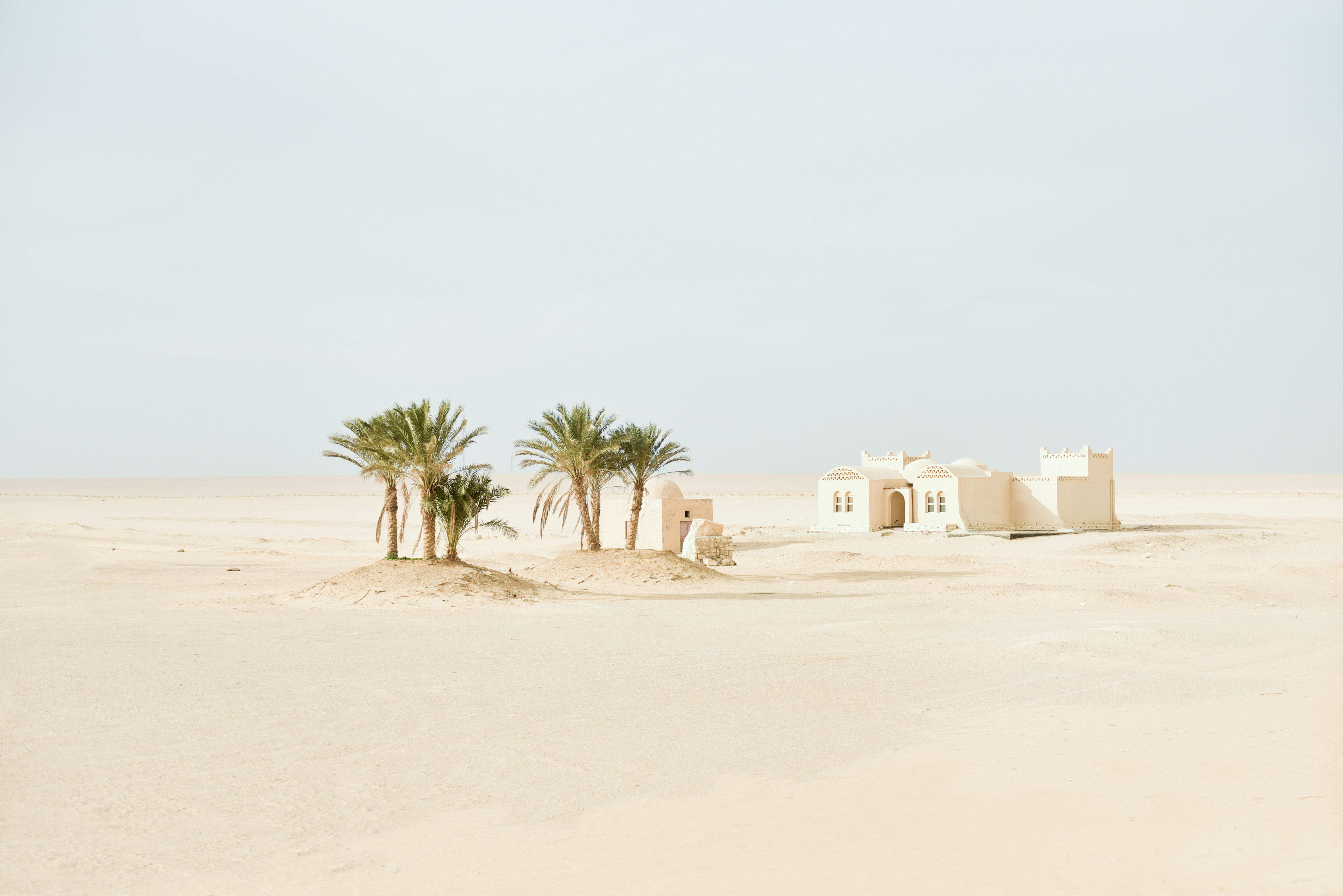 palm-tree-near-white-concrete-building-3286817 (1)_看图王.jpg