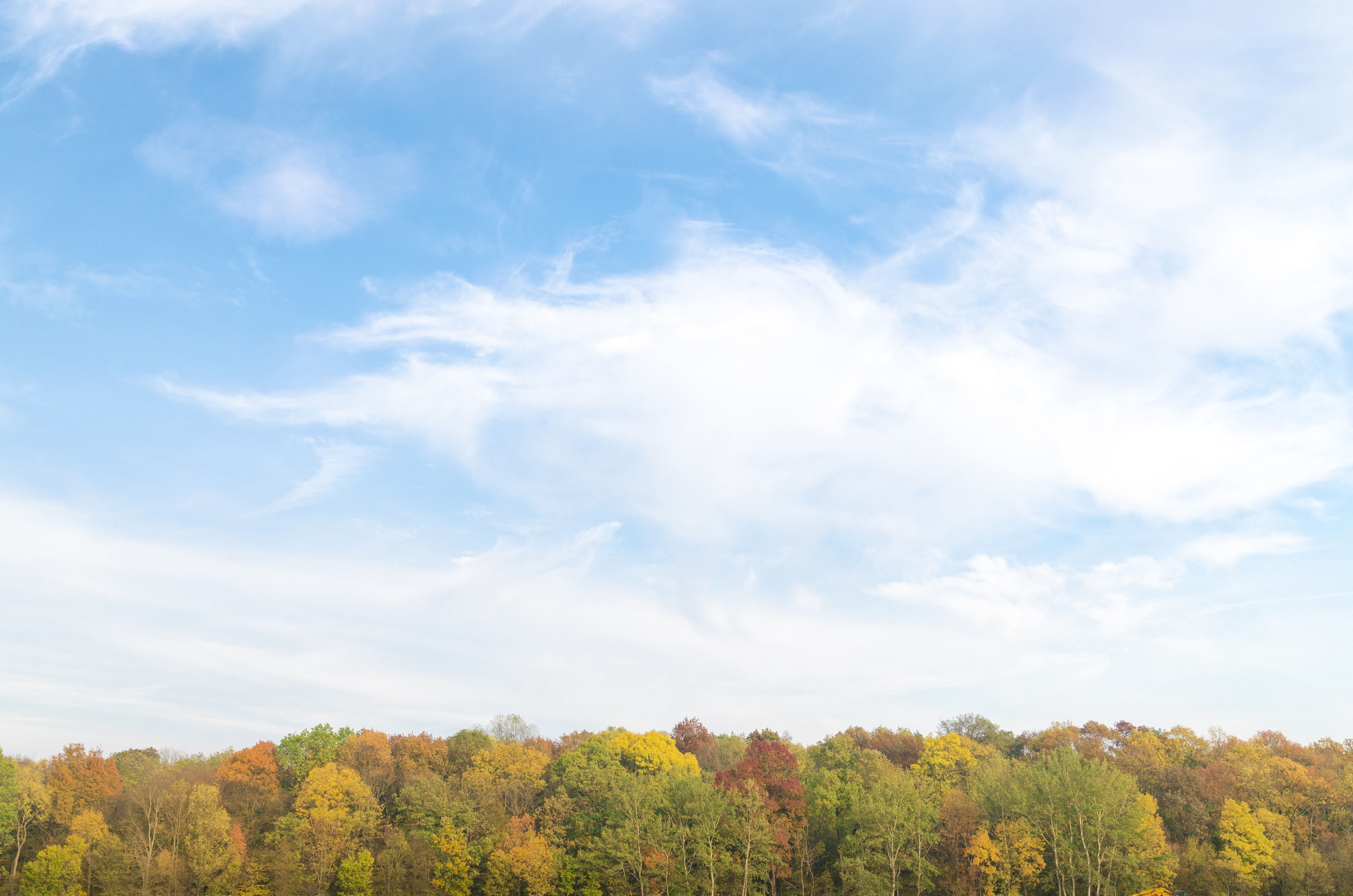 autumn-background-beautiful-bright-627823_看图王.jpg autumn-background-beautiful-bright-627823_看图王.jpg