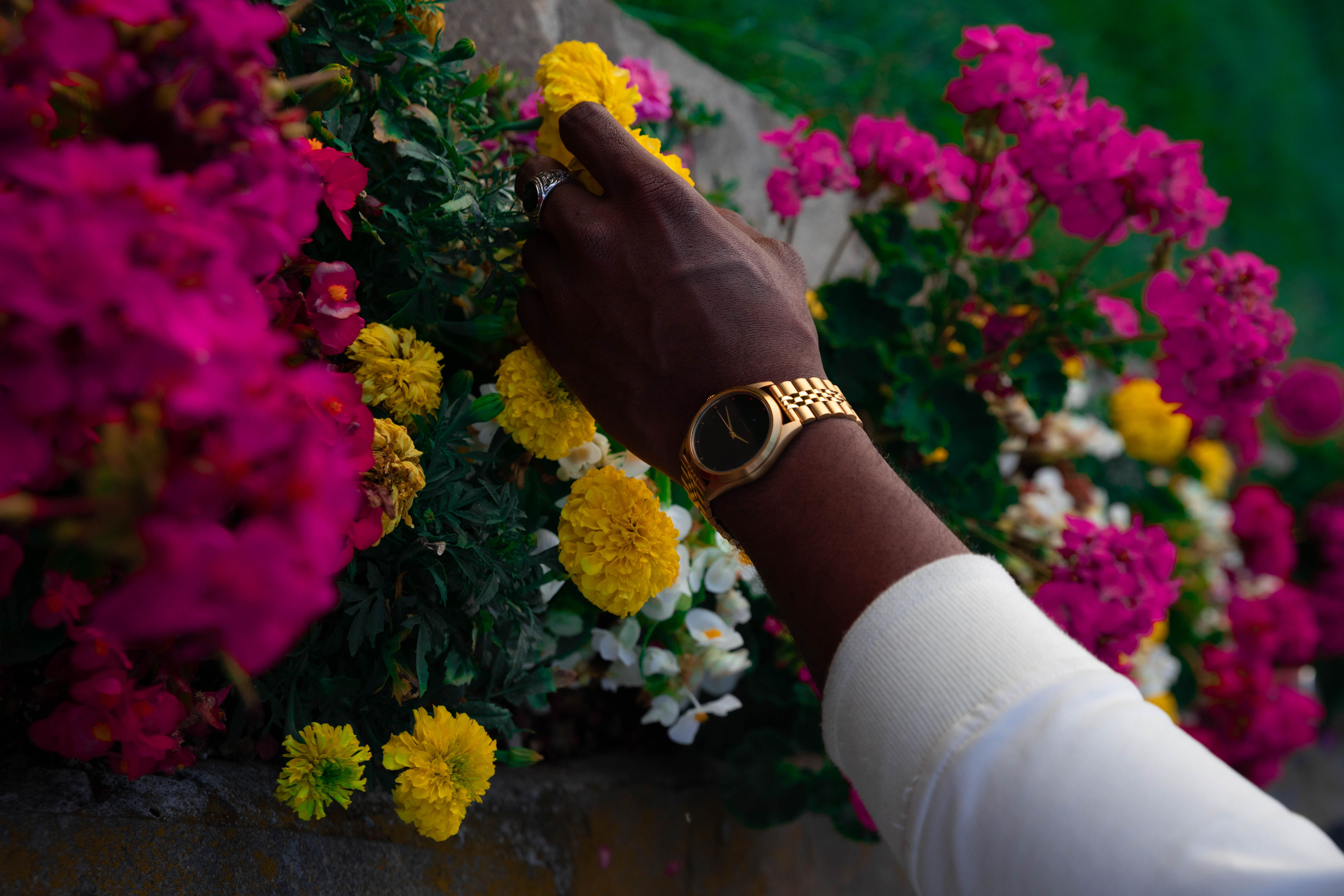 person-wearing-round-gold-colored-analog-watch-3277180_看图王.jpg person-wearing-round-gold-colored-analog-watch-3277180_看图王.jpg