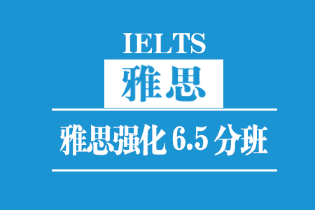 雅思强化6.5分班(30人)