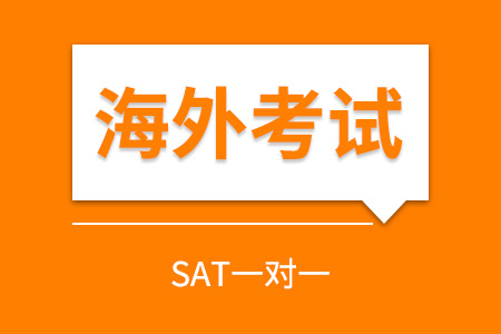 SAT一对一