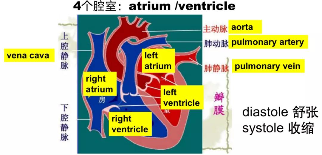 微信图片_20210318104607.jpg