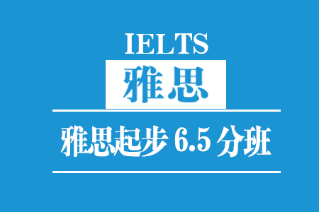 雅思起步6.5分班(30人)