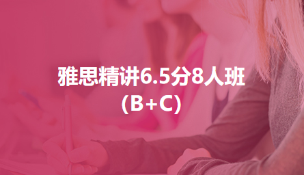 雅思精讲6.5分8人班（B+C）