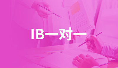 IB一对一
