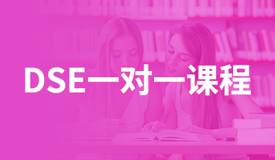 DSE一对一课程