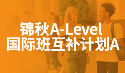 国际班互补计划A