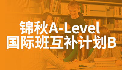 国际班互补计划B