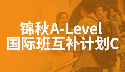 国际班互补计划C
