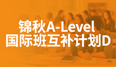 国际班互补计划D