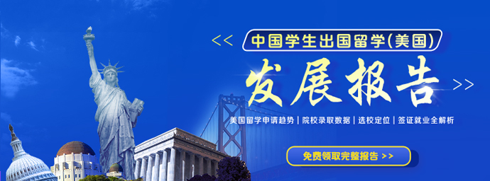 发展报告