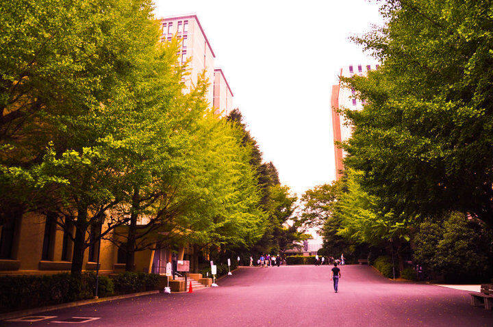 早稻田大学