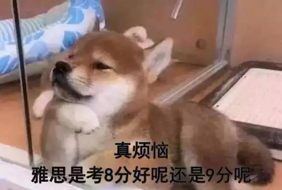 3.jpg 3.jpg
